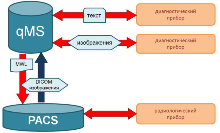 Qms rt ru проверка